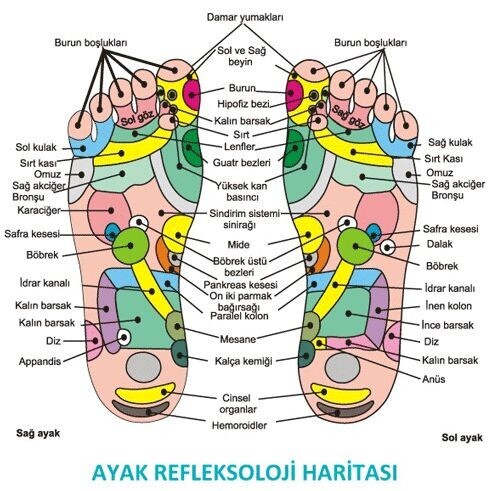 Ayak Sağlığı ve Önemi
